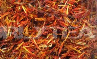 safflower001