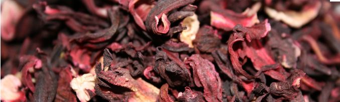 hibiscus tea