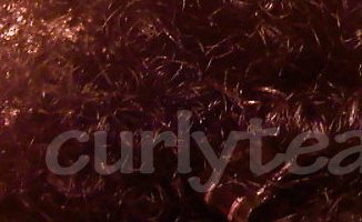 mycurl05