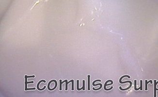 ecomulsexpfront01 curlytea
