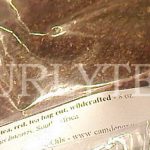 rooibos001b