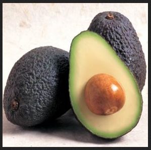 avocado - curlytea.com