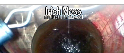images_irishmossmucilage01