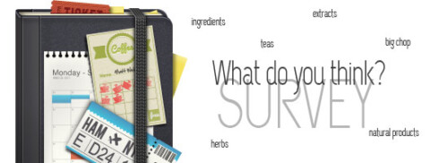 images_survey1top