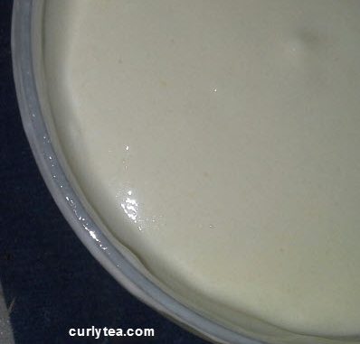 Moringa & Horsetail Lite Moisturizing Creme w/ Organic Palm