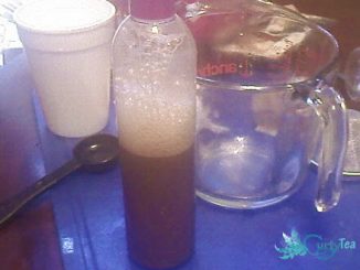 vanilla chai shampoo