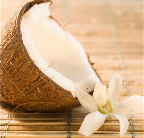 Coconutty Oil Rich Conditioner w/Coconut Milk Ver #2 (Glycerin Free)