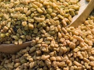 fenugreek