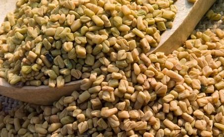 fenugreek