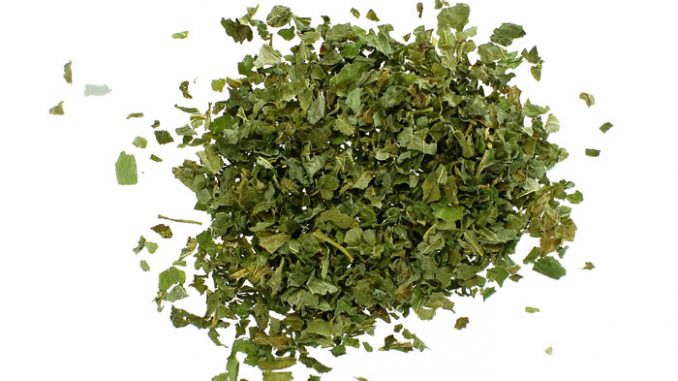 lemonbalm