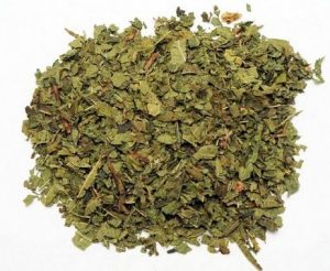 lemonverbena02