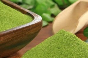 Moringa oleifera contains over 90 different nutrients c urlytea.com