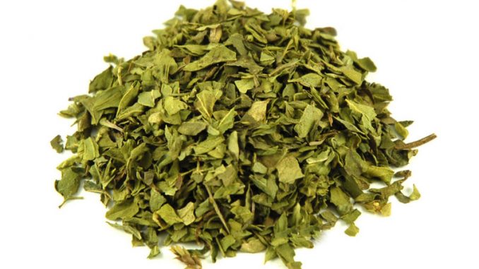 oregano01