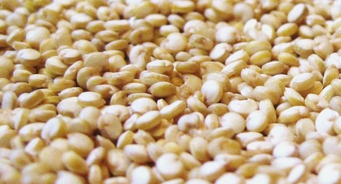 Hydrating Quinoa Leave in Lite version #1 Quinoa conditioner - curlytea.com