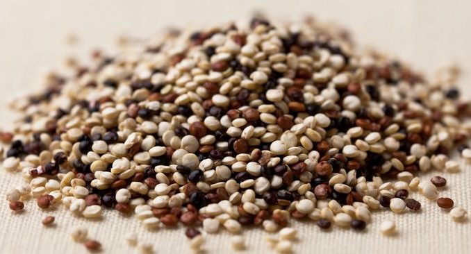 Moisturizing Coconut Quinoa Leave-in Lite version #3