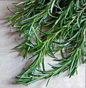 red rosemary horsetail and green tea conditioner - curlytea.com