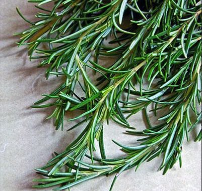 Red Rosemary Conditioning Leave In rosemary horsetail and green tea conditioner
