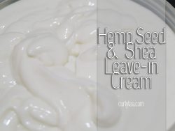 Hemp Seed and Shea Leave-in - curlytea.com