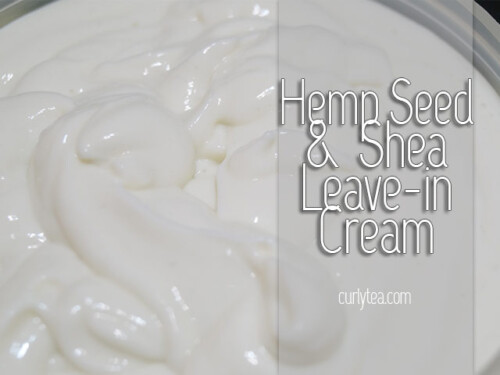 Hemp Seed and Shea Leave-in - curlytea.com