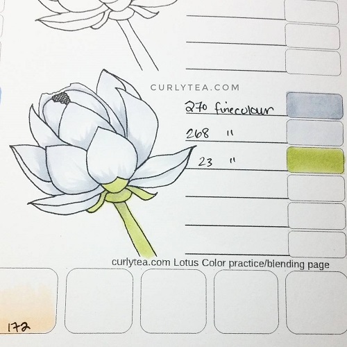 lotus digital printable - curlytea.com