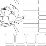 lotus_ss01