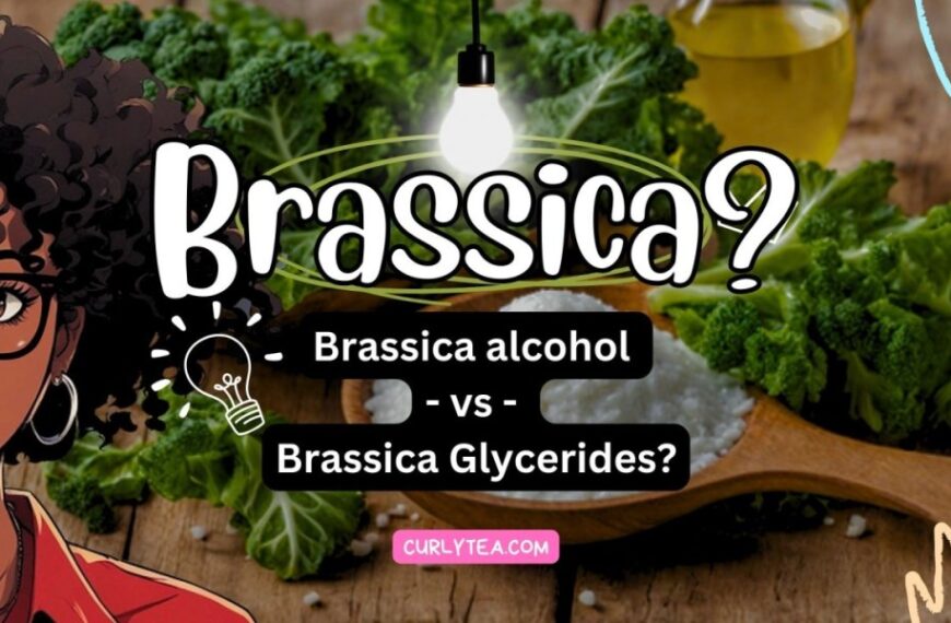 Brassica Alcohol vs Brassica Glycerides?