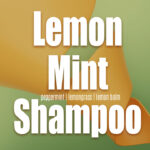 Lemon Mint Shampoo - curlytea.com