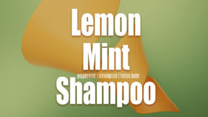 Lemon Mint Shampoo - curlytea.com