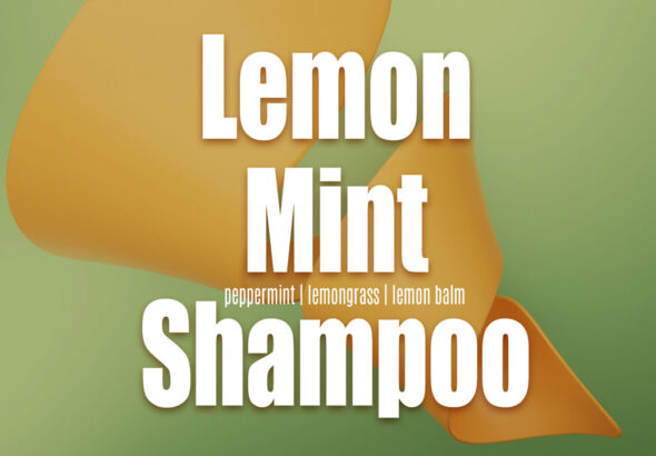 Lemon Mint Shampoo - curlytea.com