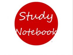 Study Notebook - curlytea.com