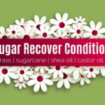 Lemon Sugar Recover Conditioner