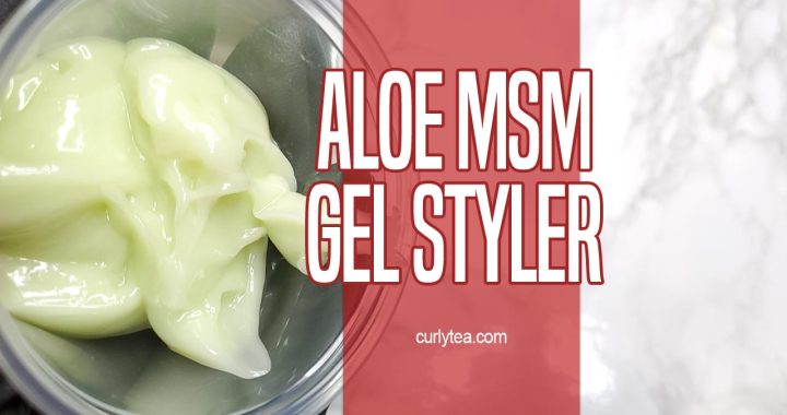 Aloe MSM Gel Styler [VIDEO]